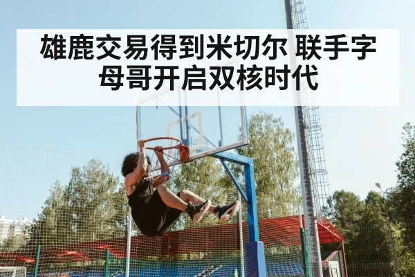 雄鹿交易得到米切尔 联手字母哥开启双核时代